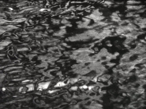 Liquid