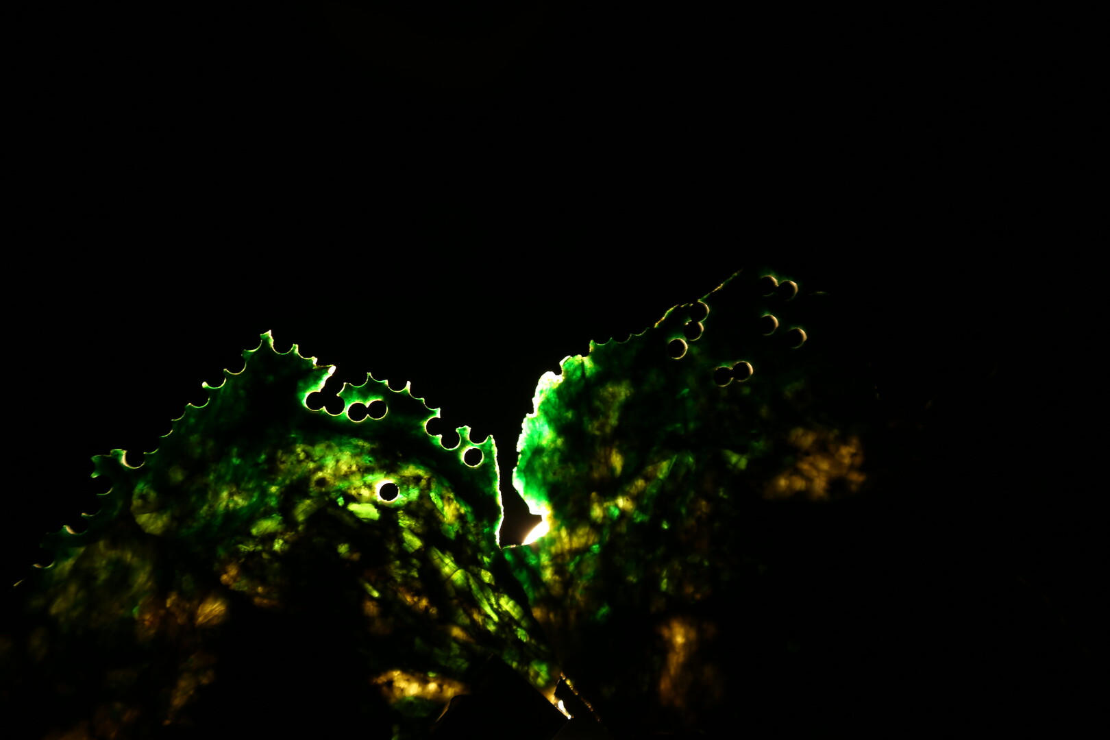 lightyearsexpanding